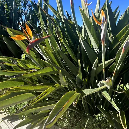 Casa Malho - Maison Avec Piscine Privee Sans Vis A Vis