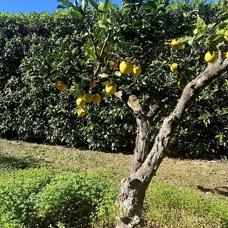 Villa Casa Malho - Maison Avec Piscine Privee Sans Vis A Vis Portimão